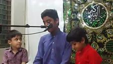 LIVE - Jashan - Imam Raza (A.S)